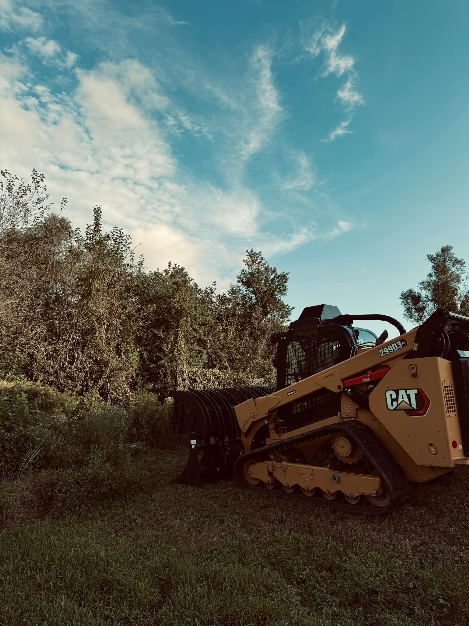 Yellow CAT 299D3 compact track loader with grapple rake in overgrown vegetation