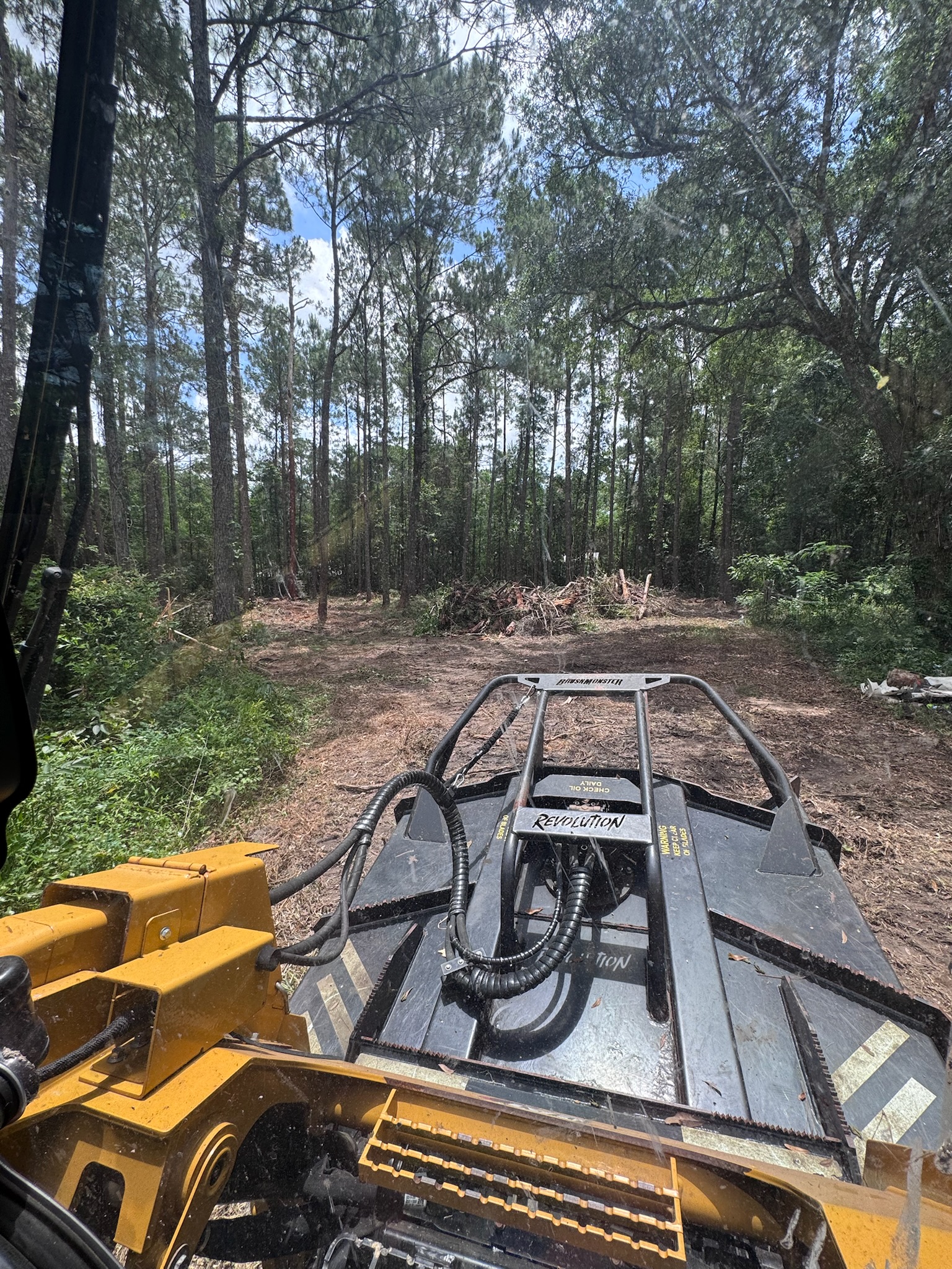 Forestry mulcher opening a path through pine timber during land clearing